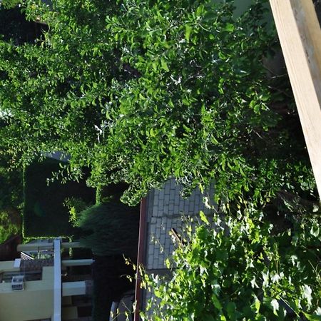 Hotel Dacha V Arkadii Odesa Exterior foto